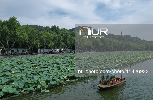 Tourists are taking a boat ride to see lotus flowers blooming on the West Lake in Hangzhou, China, on July 22, 2024. 