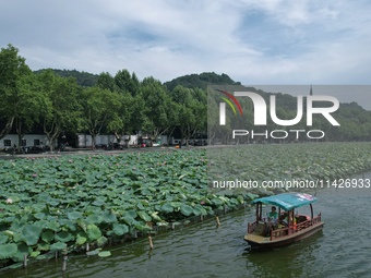 Tourists are taking a boat ride to see lotus flowers blooming on the West Lake in Hangzhou, China, on July 22, 2024. (