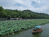 Tourists are taking a boat ride to see lotus flowers blooming on the West Lake in Hangzhou, China, on July 22, 2024. (