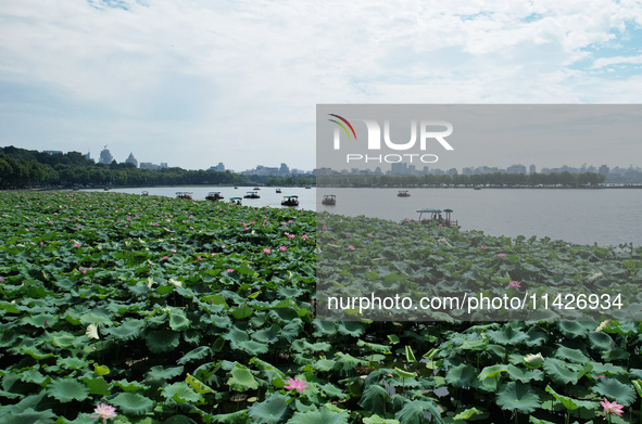 Tourists are taking a boat ride to see lotus flowers blooming on the West Lake in Hangzhou, China, on July 22, 2024. 