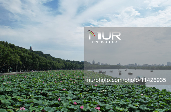 Tourists are taking a boat ride to see lotus flowers blooming on the West Lake in Hangzhou, China, on July 22, 2024. 