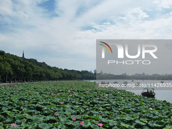 Tourists are taking a boat ride to see lotus flowers blooming on the West Lake in Hangzhou, China, on July 22, 2024. (