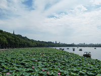 Tourists are taking a boat ride to see lotus flowers blooming on the West Lake in Hangzhou, China, on July 22, 2024. (