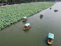 Tourists are taking a boat ride to see lotus flowers blooming on the West Lake in Hangzhou, China, on July 22, 2024. (