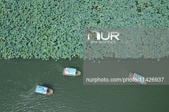 Tourists are taking a boat ride to see lotus flowers blooming on the West Lake in Hangzhou, China, on July 22, 2024. 