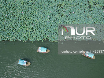 Tourists are taking a boat ride to see lotus flowers blooming on the West Lake in Hangzhou, China, on July 22, 2024. (