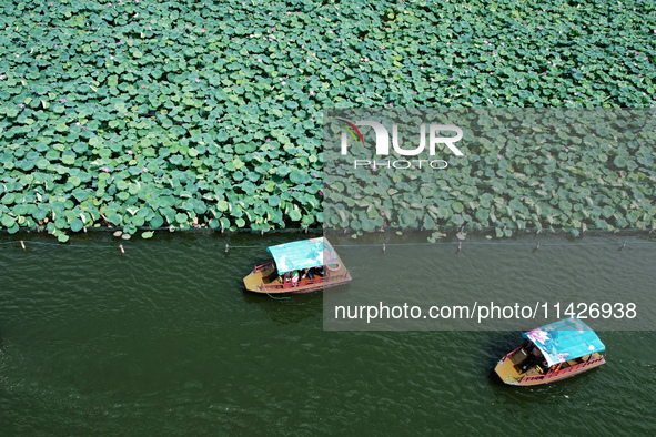 Tourists are taking a boat ride to see lotus flowers blooming on the West Lake in Hangzhou, China, on July 22, 2024. 