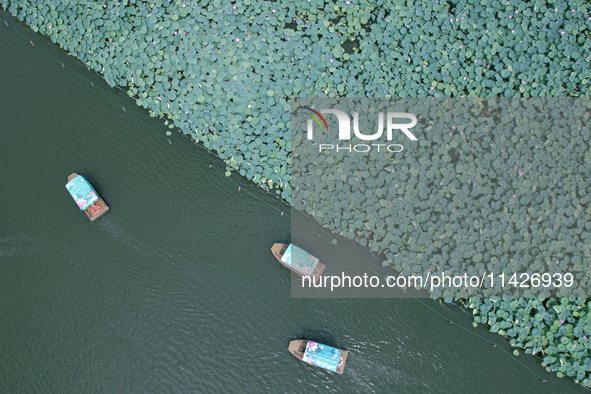 Tourists are taking a boat ride to see lotus flowers blooming on the West Lake in Hangzhou, China, on July 22, 2024. 