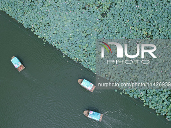 Tourists are taking a boat ride to see lotus flowers blooming on the West Lake in Hangzhou, China, on July 22, 2024. (