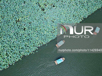 Tourists are taking a boat ride to see lotus flowers blooming on the West Lake in Hangzhou, China, on July 22, 2024. (