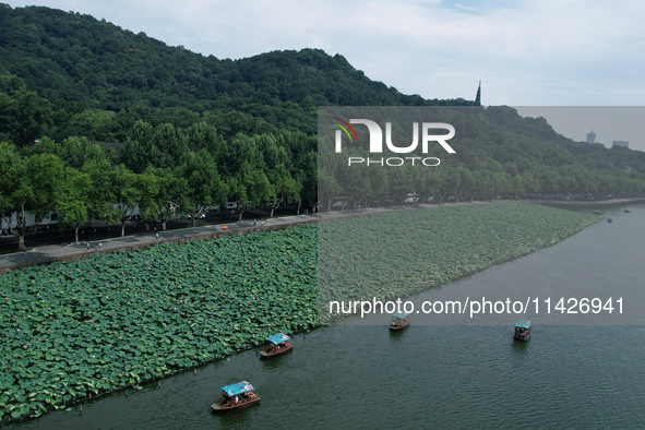 Tourists are taking a boat ride to see lotus flowers blooming on the West Lake in Hangzhou, China, on July 22, 2024. 