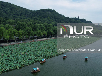 Tourists are taking a boat ride to see lotus flowers blooming on the West Lake in Hangzhou, China, on July 22, 2024. (