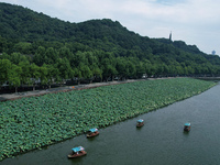 Tourists are taking a boat ride to see lotus flowers blooming on the West Lake in Hangzhou, China, on July 22, 2024. (