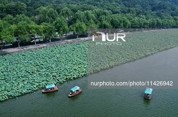 Tourists are taking a boat ride to see lotus flowers blooming on the West Lake in Hangzhou, China, on July 22, 2024. 