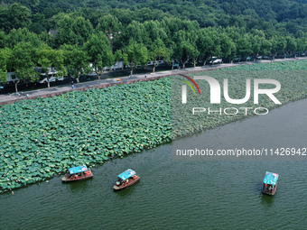 Tourists are taking a boat ride to see lotus flowers blooming on the West Lake in Hangzhou, China, on July 22, 2024. (