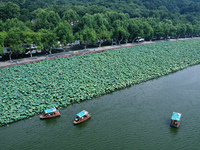 Tourists are taking a boat ride to see lotus flowers blooming on the West Lake in Hangzhou, China, on July 22, 2024. (