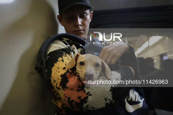 A young man is carrying a dog on the Mexico City metro. . On July 21, 2004, World Dog Day is being established internationally to commemorat...