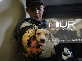 A young man is carrying a dog on the Mexico City metro. . On July 21, 2004, World Dog Day is being established internationally to commemorat...