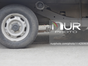 A stray dog is lying under a truck in Mexico City. 

World Dog Day is being established internationally on July 21, 2004, to commemorate d...