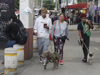 A family is walking their pets in Mexico City, Mexico, on July 21, 2004, which is established internationally as World Dog Day to commemorat...