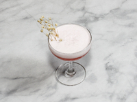 The cocktail ''Clover Club'' is sitting on a bright background. (