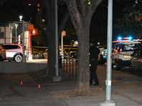 Evidence cones are at the scene. A male is in critical condition after being shot in an apartment building in Bronx, New York, United States...