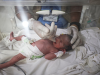 A doctor is checking a baby lying in an incubator at the newborns' intensive care unit at the International Medical Corps field hospital, am...