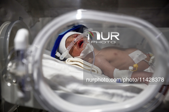 A Palestinian baby is lying in an incubator at the newborns' intensive care unit at the International Medical Corps field hospital, amid the...