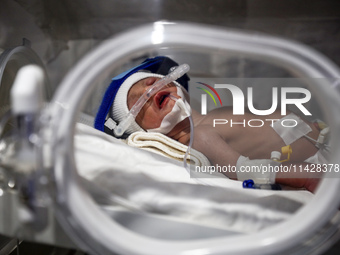 A Palestinian baby is lying in an incubator at the newborns' intensive care unit at the International Medical Corps field hospital, amid the...