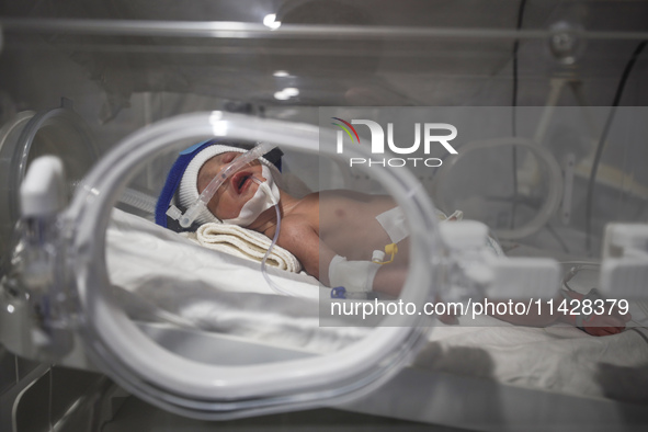 A Palestinian baby is lying in an incubator at the newborns' intensive care unit at the International Medical Corps field hospital, amid the...