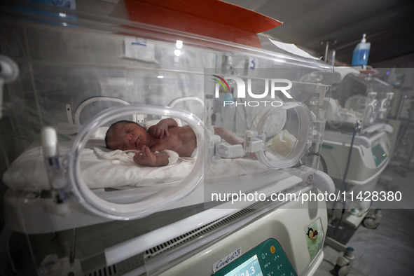 A Palestinian baby is lying in an incubator at the newborns' intensive care unit at the International Medical Corps field hospital, amid the...