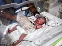 A doctor is checking a baby lying in an incubator at the newborns' intensive care unit at the International Medical Corps field hospital, am...