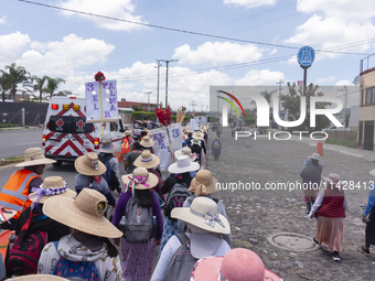 Pilgrim women from the Sierra Gorda of Queretaro are arriving at the Municipality of San Juan del Rio to continue their journey heading to t...