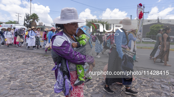 Pilgrim women from the Sierra Gorda of Queretaro are arriving at the Municipality of San Juan del Rio to continue their journey heading to t...