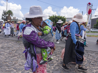 Pilgrim women from the Sierra Gorda of Queretaro are arriving at the Municipality of San Juan del Rio to continue their journey heading to t...