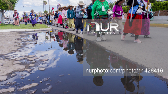 Pilgrim women from the Sierra Gorda of Queretaro are arriving at the Municipality of San Juan del Rio to continue their journey heading to t...