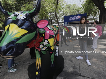 A woman is taking a photo of a fiberglass cow painting by an artist during the inauguration of the 'Cowparade Mexico 2024' on Avenida Reform...