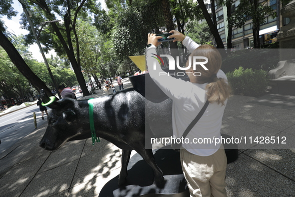 A woman is taking a photo of a fiberglass cow painting by an artist during the inauguration of the 'Cowparade Mexico 2024' on Avenida Reform...