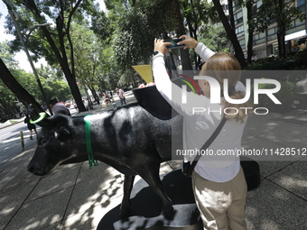 A woman is taking a photo of a fiberglass cow painting by an artist during the inauguration of the 'Cowparade Mexico 2024' on Avenida Reform...