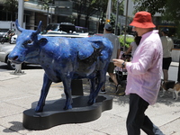 A man is being seen during the inauguration of the 'Cowparade Mexico 2024' on Avenida Reforma in Mexico City, Mexico, on July 21, 2024. CowP...