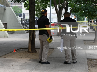 Crime scene investigators are placing evidence markers at the crime scene and are scouring the area for clues following an overnight fatal s...