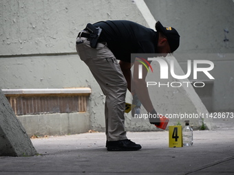 A crime scene investigator is placing an evidence marker at the crime scene where a shell casing is being discovered next to a bottle of liq...