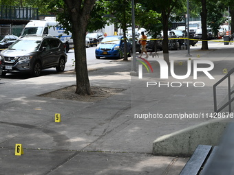 Evidence markers are being placed at the crime scene where shell casings are being discovered following an overnight fatal shooting in Bronx...