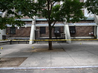 Evidence markers are being placed at the crime scene where shell casings are being discovered following an overnight fatal shooting in Bronx...