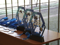 Awards for the winners of the 2nd Drone Racing Tournament by the Federation of Military Technological Sports of Ukraine are flying a drone i...