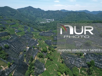 A sunscreen net is covering a large area of Tea Hill at the West Lake Longjing Level 1 Conservation Area in Hangzhou, China, on July 23, 202...