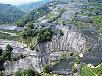 A sunscreen net is covering a large area of Tea Hill at the West Lake Longjing Level 1 Conservation Area in Hangzhou, China, on July 23, 202...