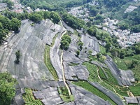 A sunscreen net is covering a large area of Tea Hill at the West Lake Longjing Level 1 Conservation Area in Hangzhou, China, on July 23, 202...