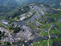 A sunscreen net is covering a large area of Tea Hill at the West Lake Longjing Level 1 Conservation Area in Hangzhou, China, on July 23, 202...