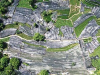 A sunscreen net is covering a large area of Tea Hill at the West Lake Longjing Level 1 Conservation Area in Hangzhou, China, on July 23, 202...